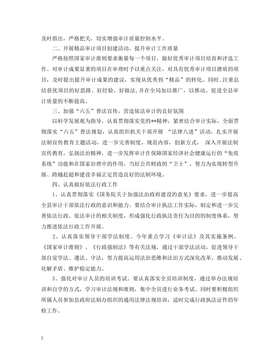 2024政府审计师工作计划报告 _第2页