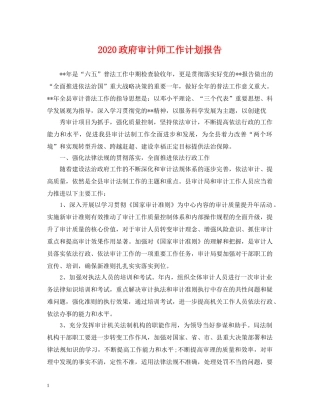 2024政府审计师工作计划报告 