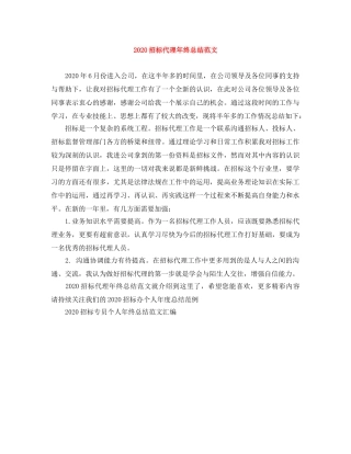 2024招标代理年终总结范文 