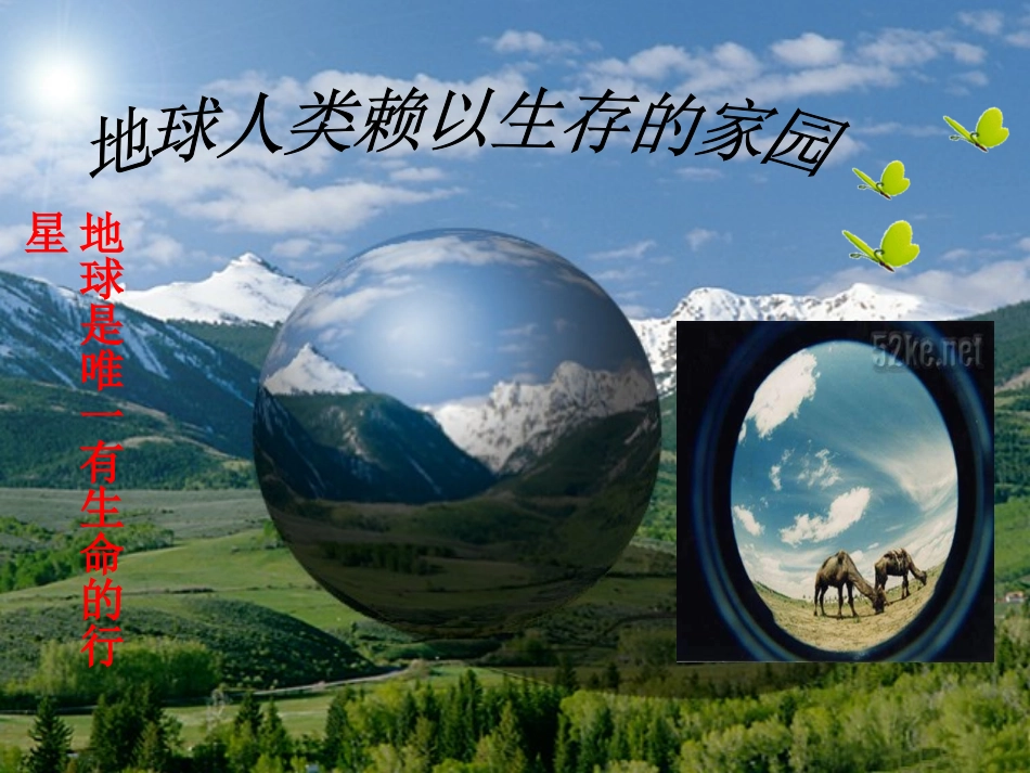 神奇的生命世界_第2页