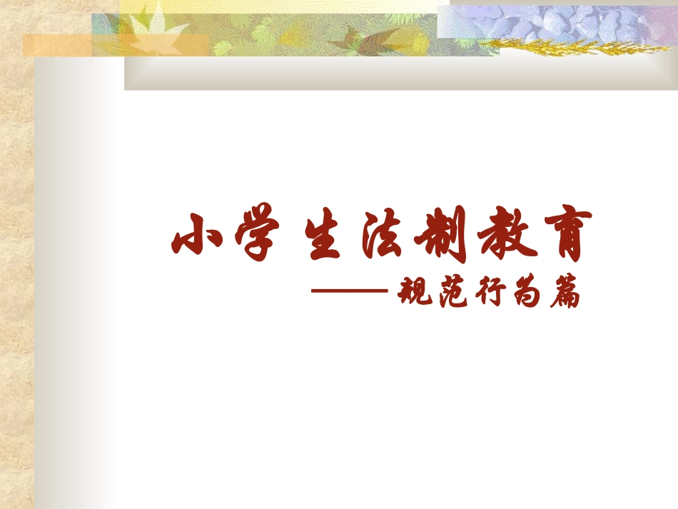 小学生法制教育PPT_第1页