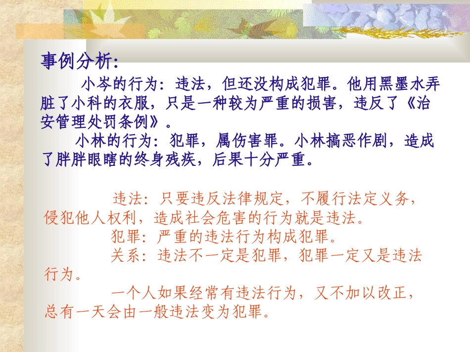 小学生法制教育PPT_第3页