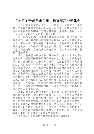 “树组工干部形象”集中教育学习心得体会