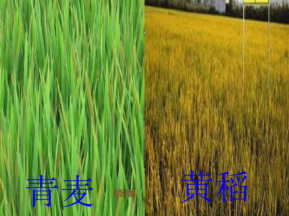 田园生活美如画2_第3页