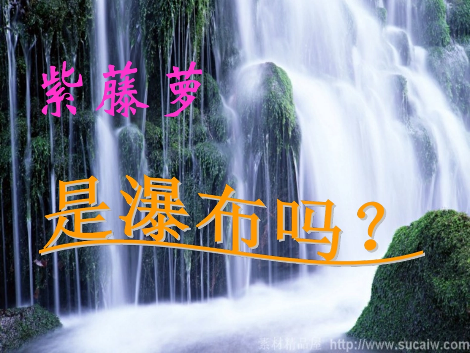 紫藤萝瀑布-教案设计_第2页