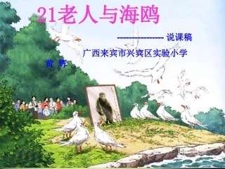 老人与海鸥课件 (2)