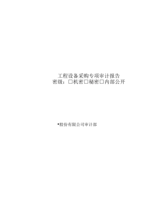 工程设备采购专项审计报告