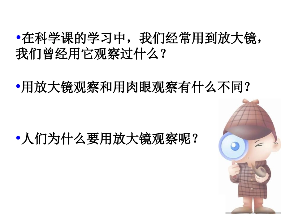 科学六下《放大镜》课件_第2页