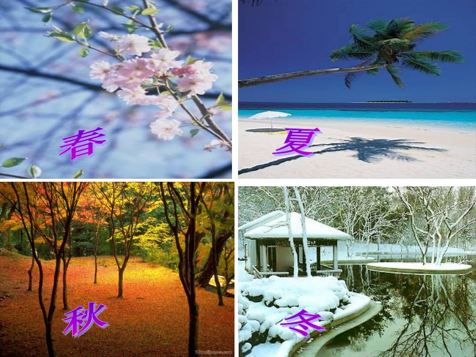 课题一找规律（1）A案_第3页