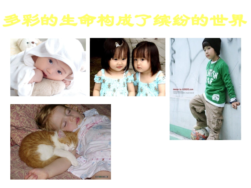 小学安全主题班会_珍爱生命_健康成长_第2页