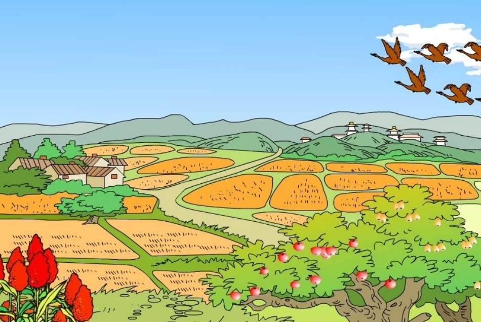 秋天的图画（习作）_第3页