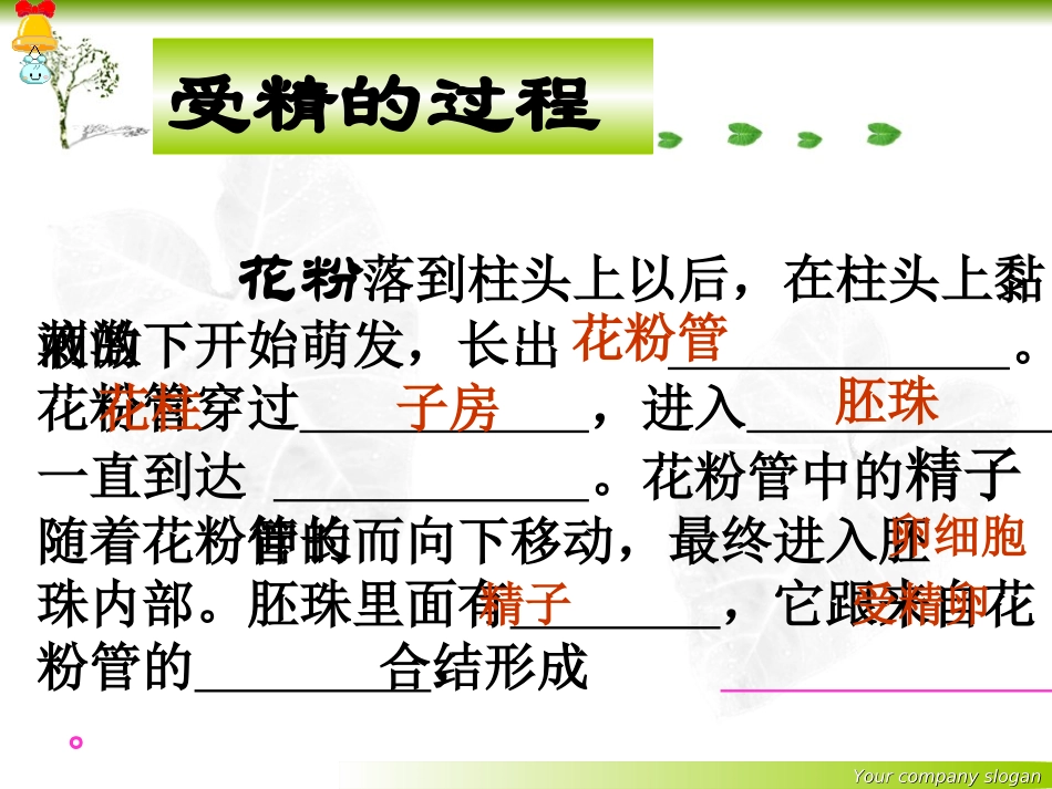 2013绿色植物与生物圈中的水循环_第3页