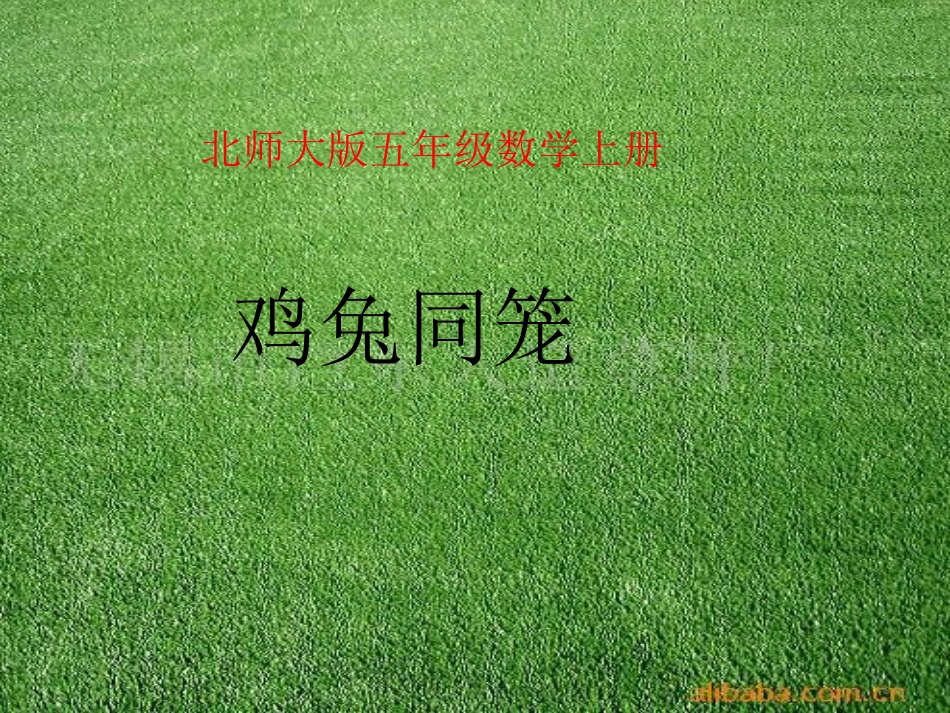 鸡兔同笼课件_第1页