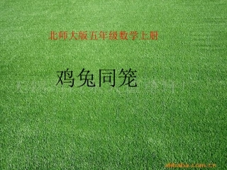 鸡兔同笼课件