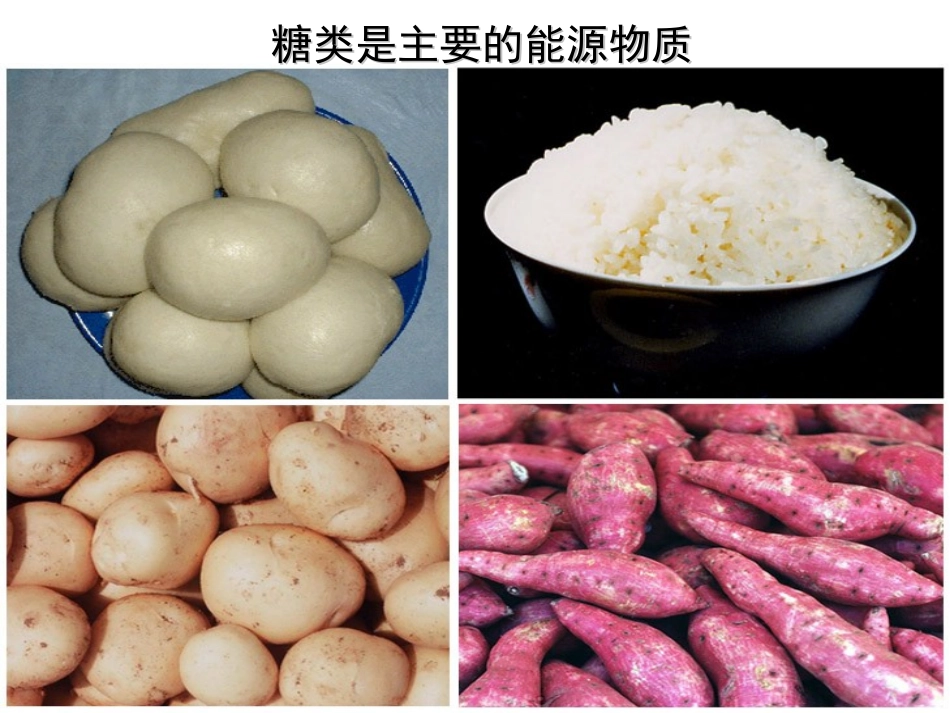 细胞中的糖类和脂质_第2页