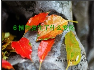 植物发生了什么变化