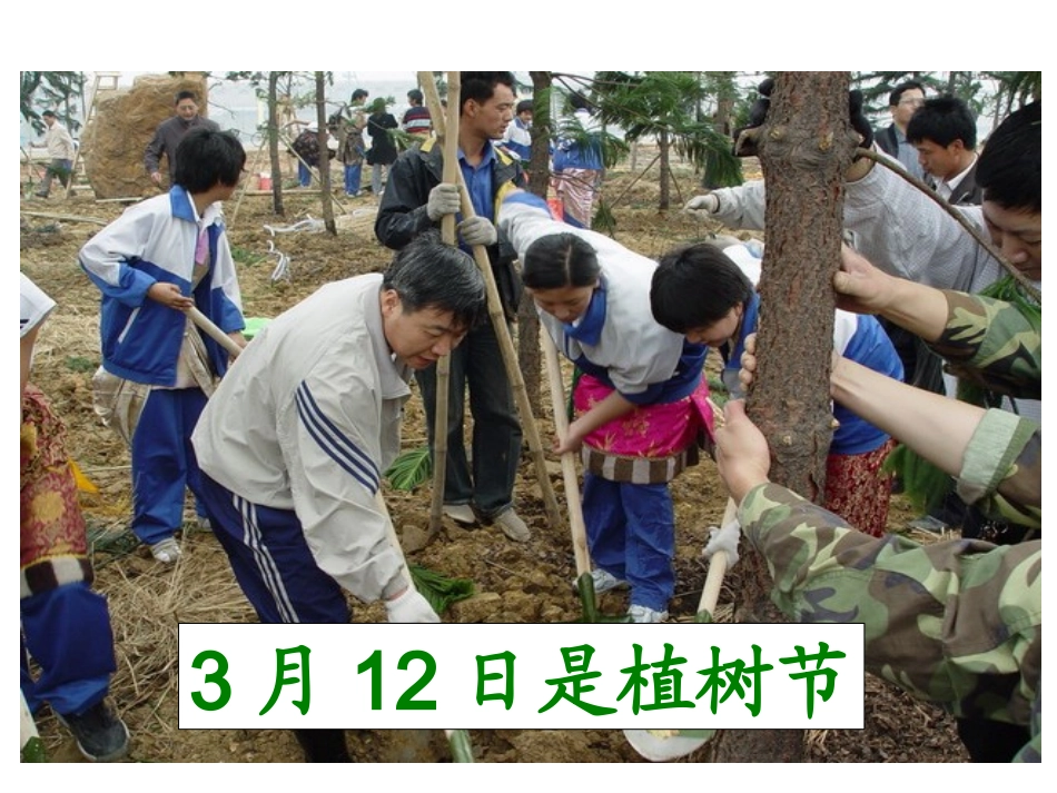除数是一位数的除法笔算除法三年级数学下册_第2页