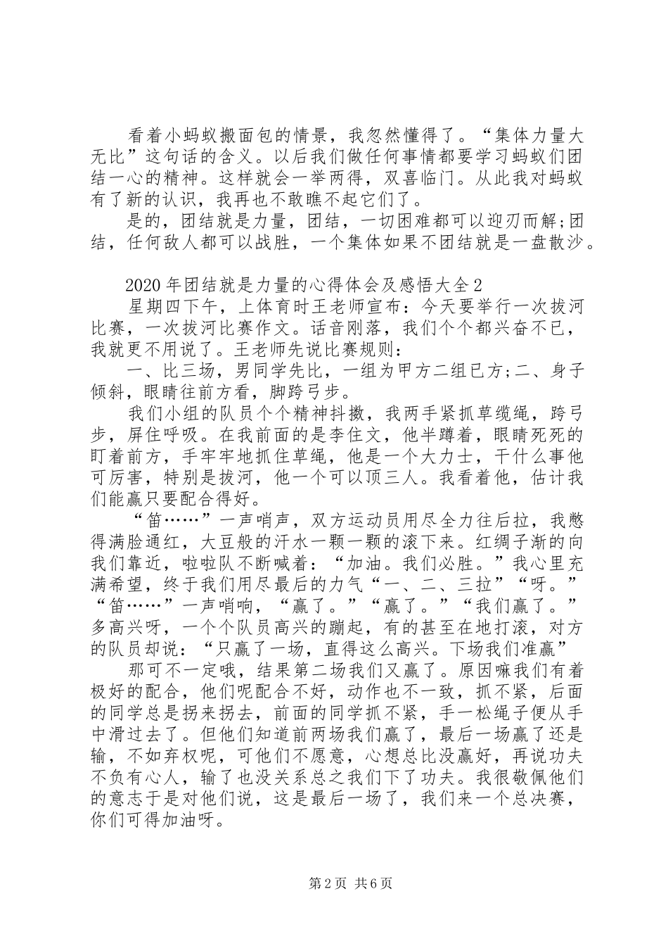 XX年团结就是力量的心得体会及感悟多篇_第2页