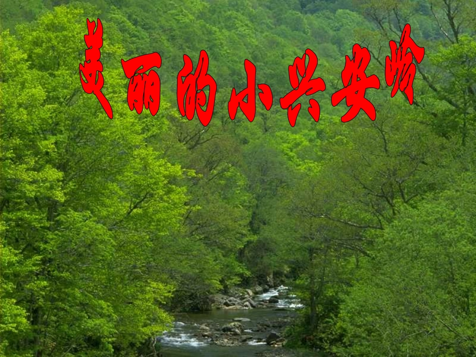 美丽的小兴安岭课件(4)_第1页
