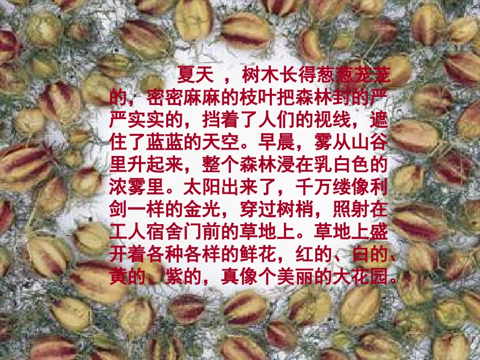 美丽的小兴安岭课件(4)_第3页