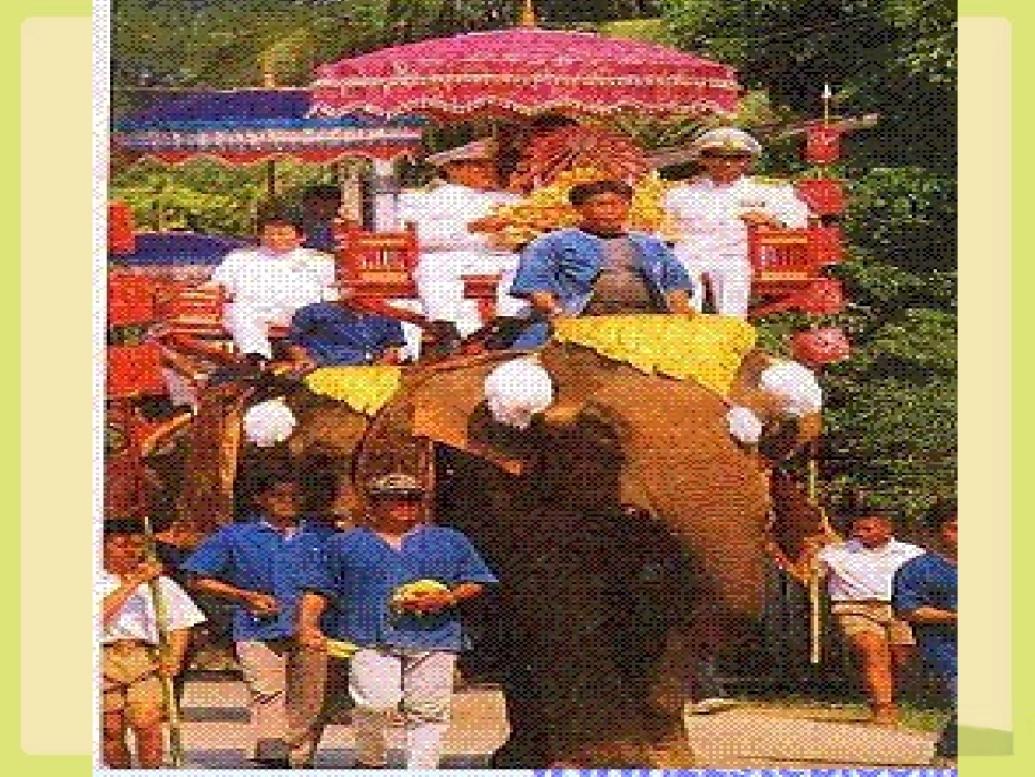 《与象共舞》思考题_第1页