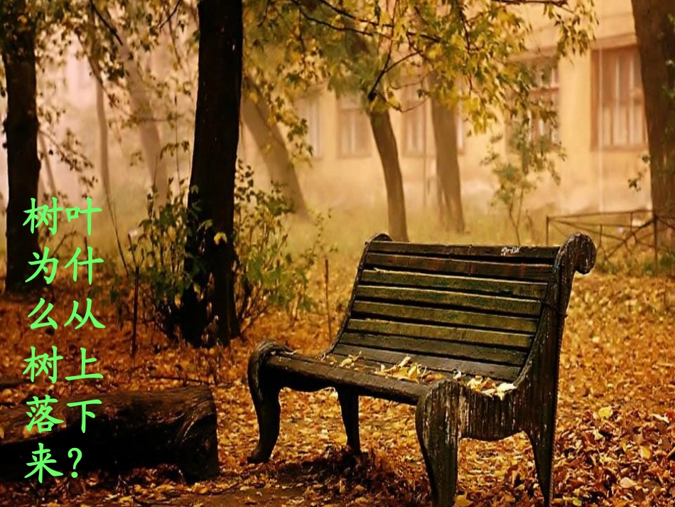 苹果为什么会落地_第1页