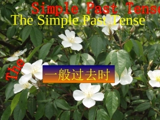 八上过去时课件