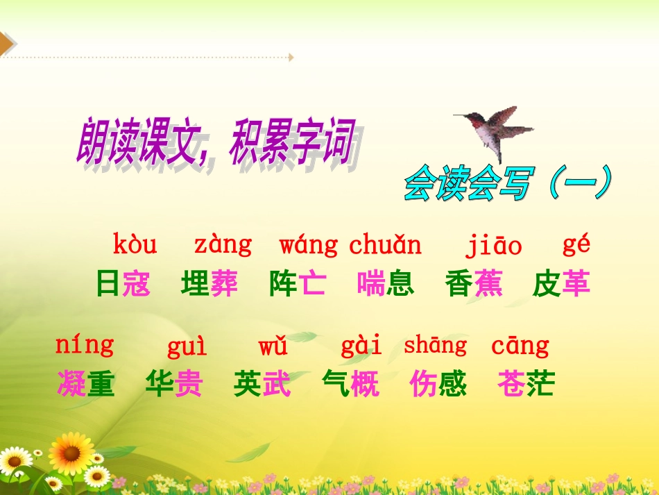 《最后一头战象》教学课件1_第3页