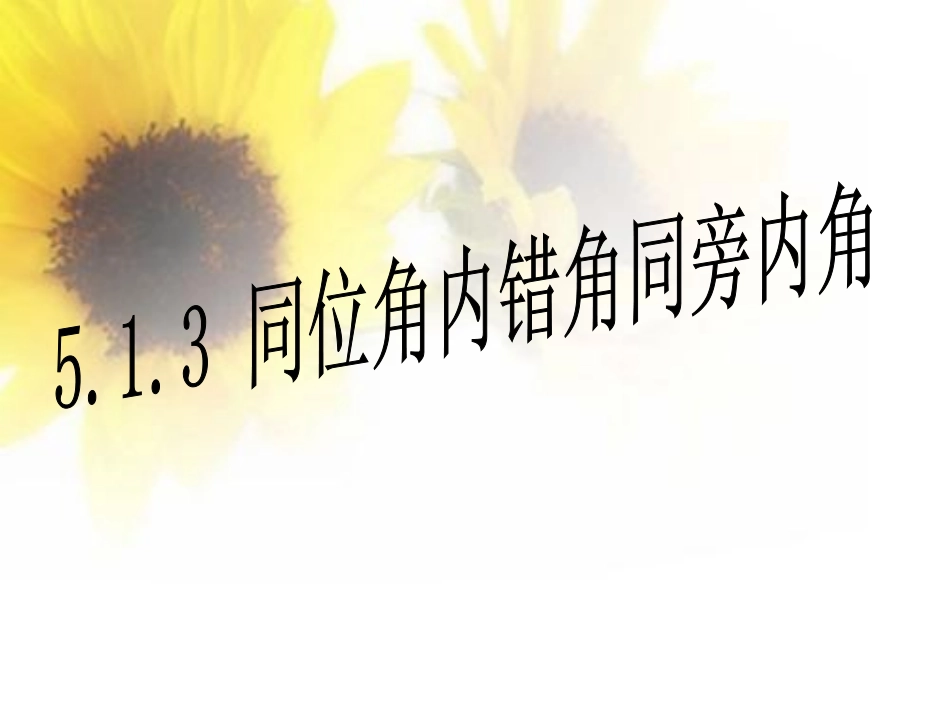 同位角内错角同旁内角_第1页