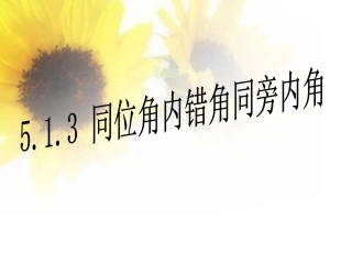 同位角内错角同旁内角