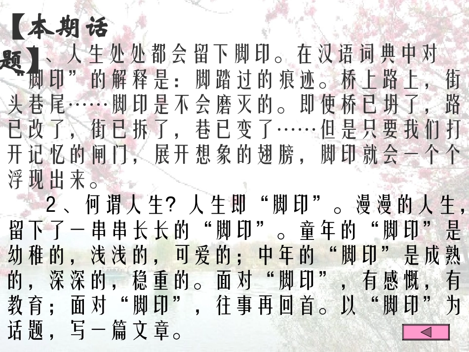 以“脚印”为话题作文指导_第3页