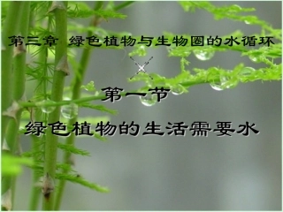 绿色植物的生活需要水和水分进入植物体