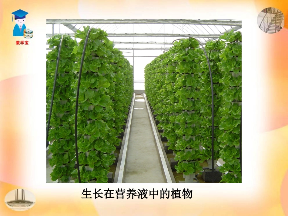 课题1_溶液的形成_第2页