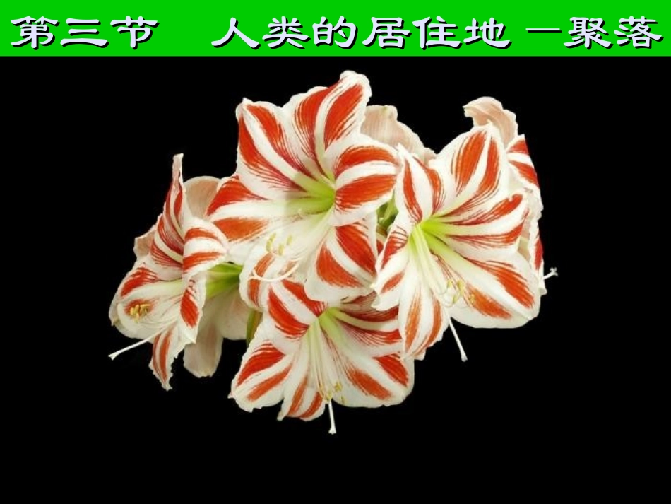 人类的聚居地_聚落(7年级地理上)_第1页