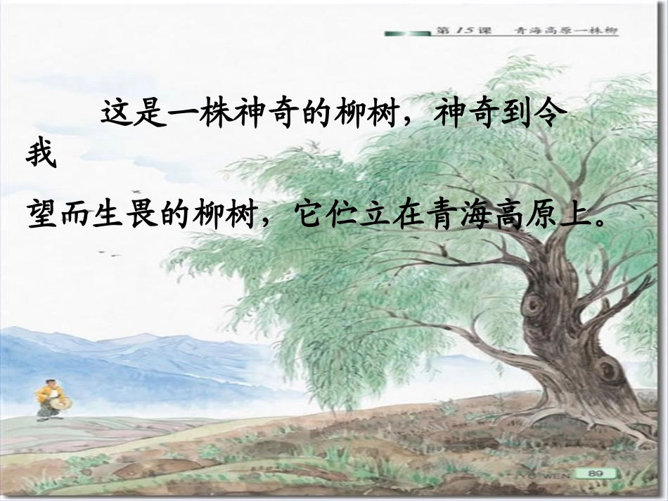 青海高原一株柳_第3页