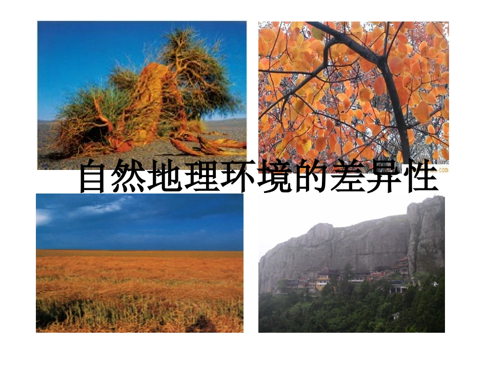 自然地理环境的差异性_第2页