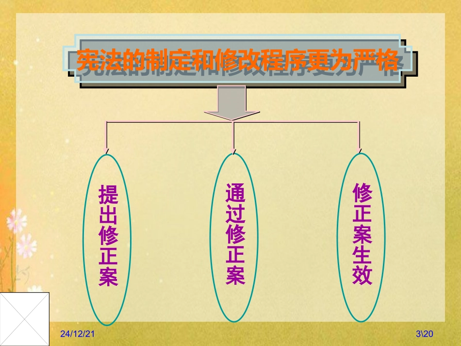 （七）第4课时《更严格的制定与修改程序》_第3页