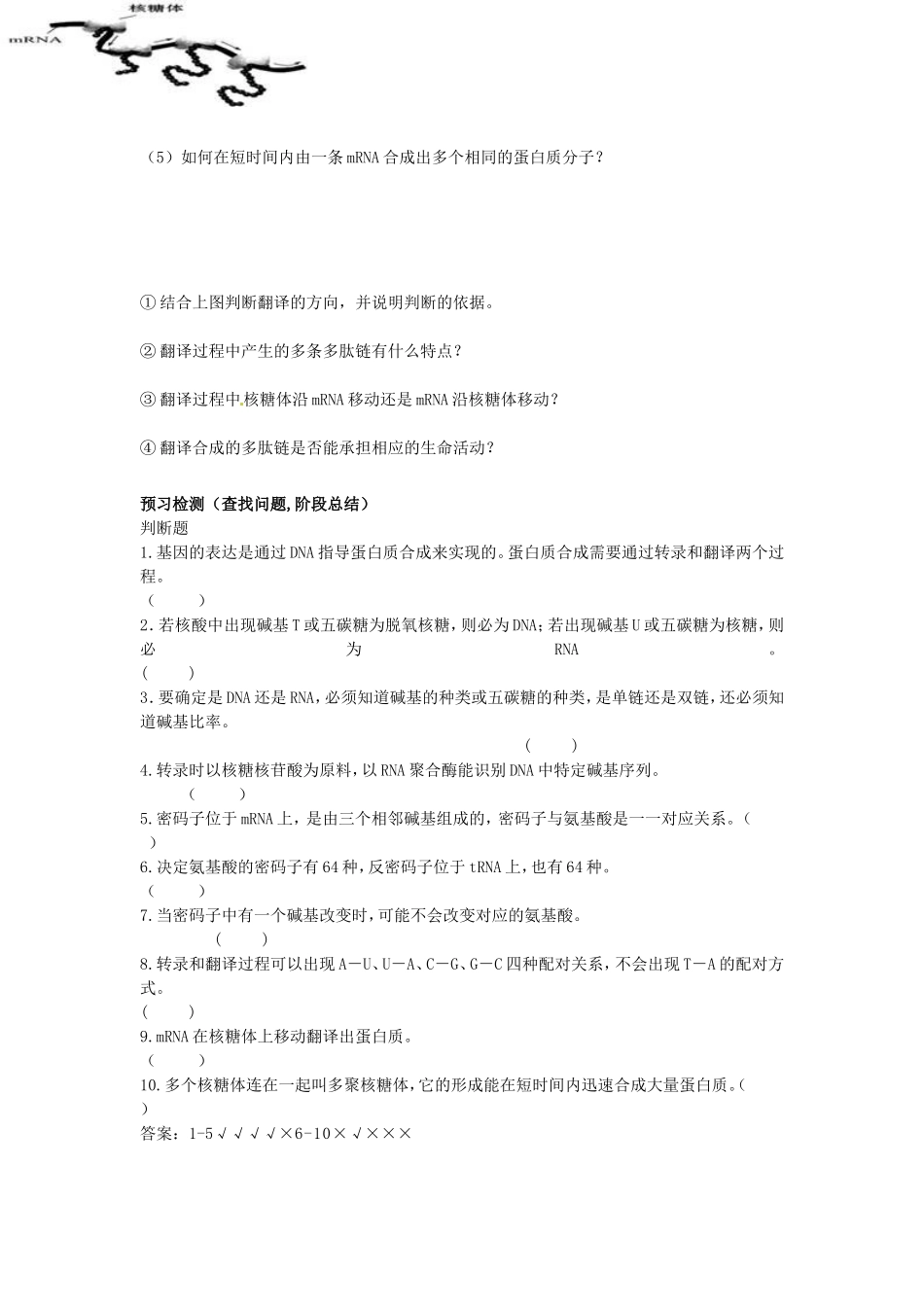 基因指导蛋白质的合成导学案_第3页