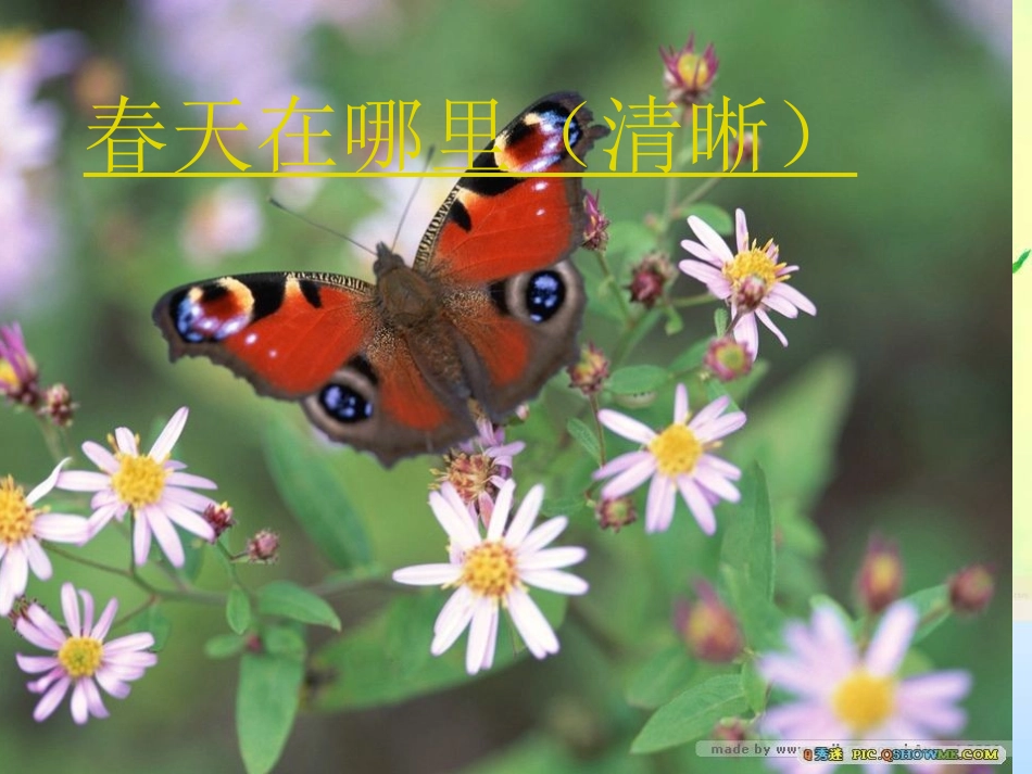 小学语文_四年级下册_17触摸春天_第2页