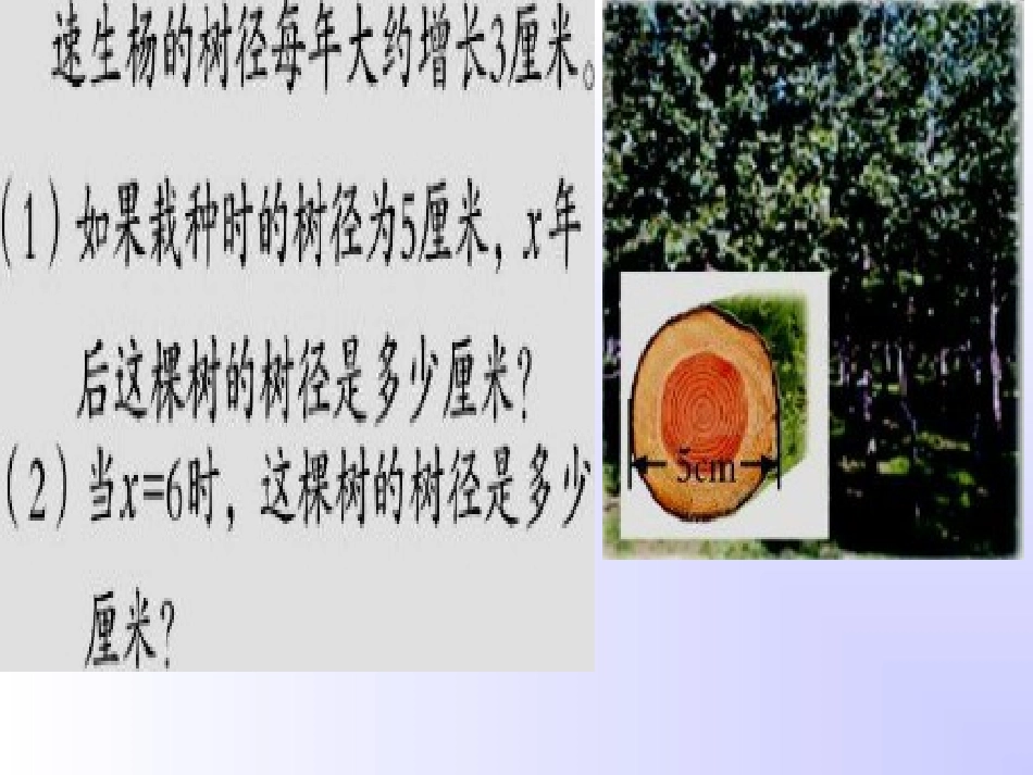 自主练习1习题_第2页