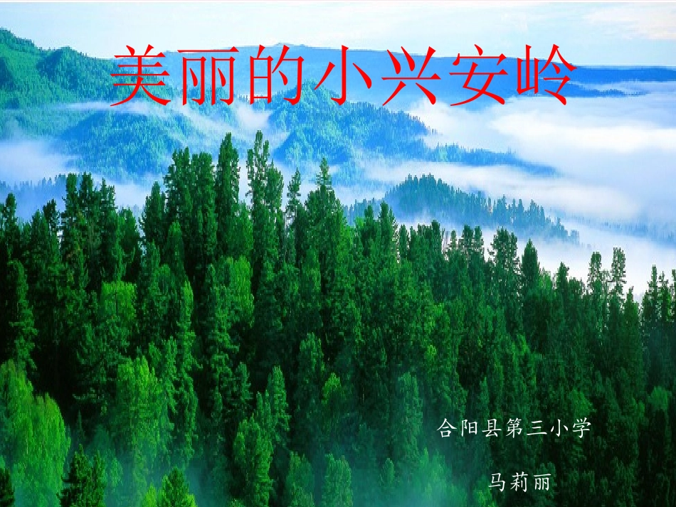 美丽的小兴安岭 (5)_第1页