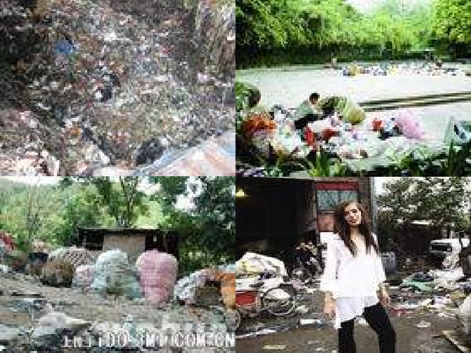 六年级科学下册垃圾的处理_第3页