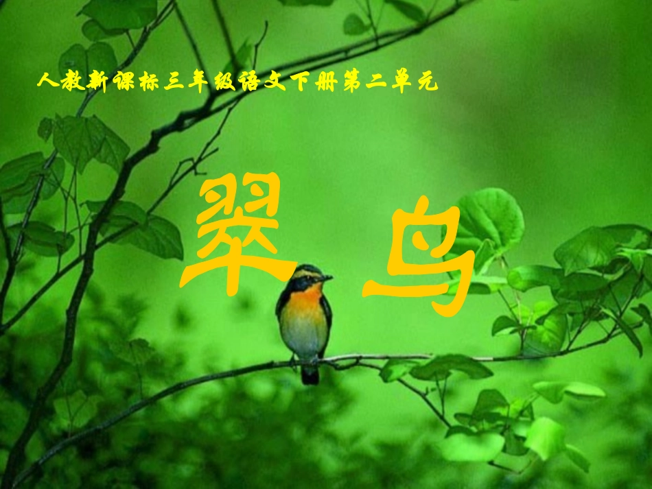 《翠鸟》教学课件2_第1页
