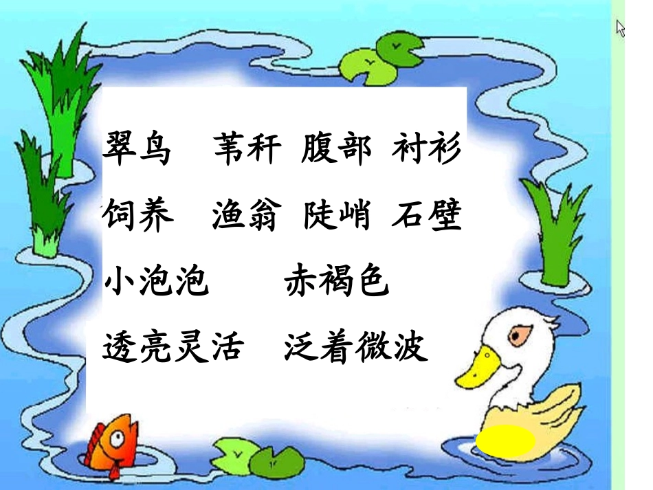 《翠鸟》教学课件2_第2页