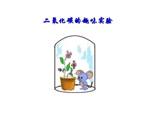 二氧化碳的趣味实验