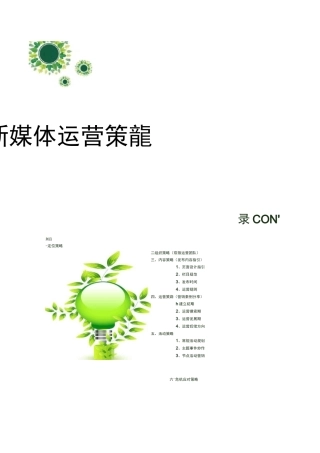 新媒体运营整体策划方案及整体运营策略
