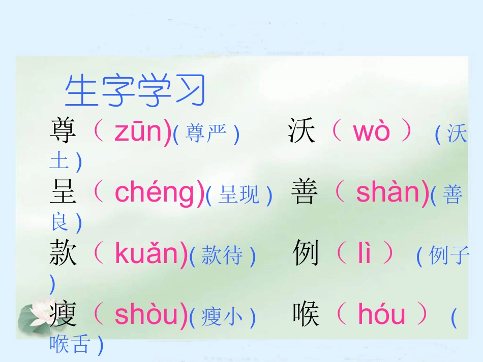 人教新课标四年级语文下册《尊严》讲课用PPT课件_第3页