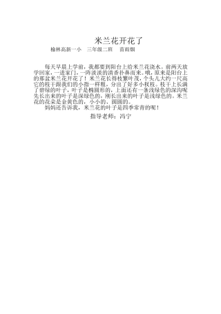 米兰花开花了