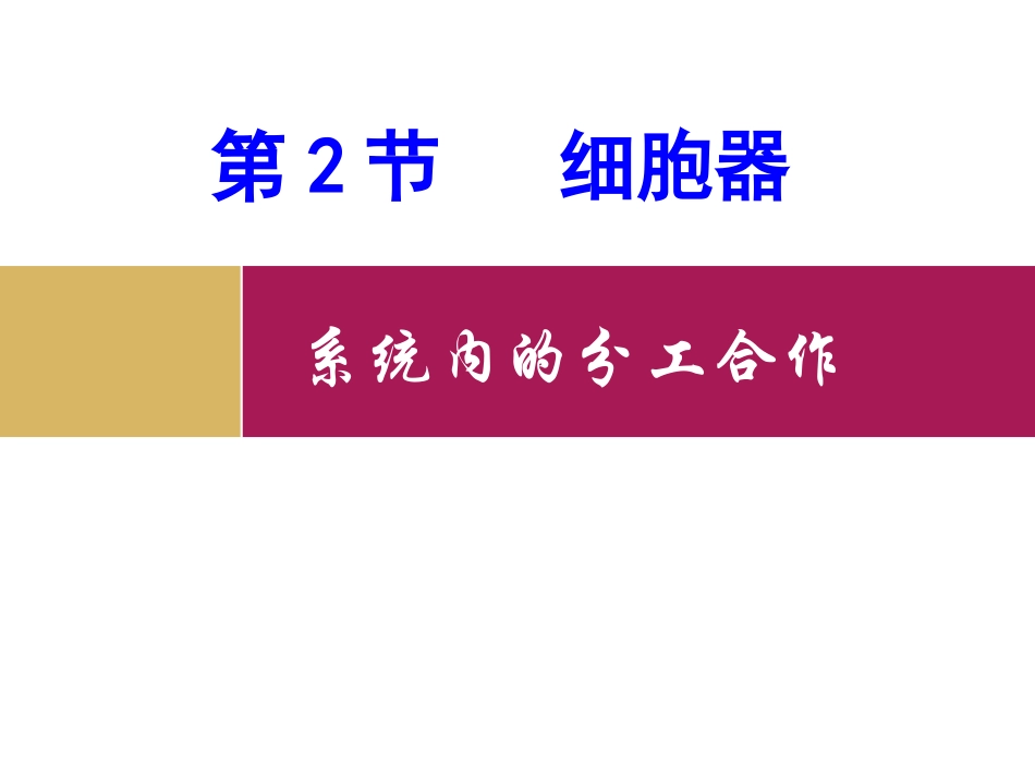 细胞器—细胞内的分工合作_第1页