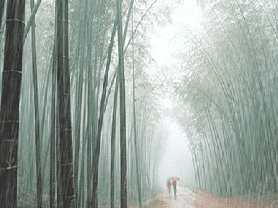 《寻找雨具的缺点》_第3页